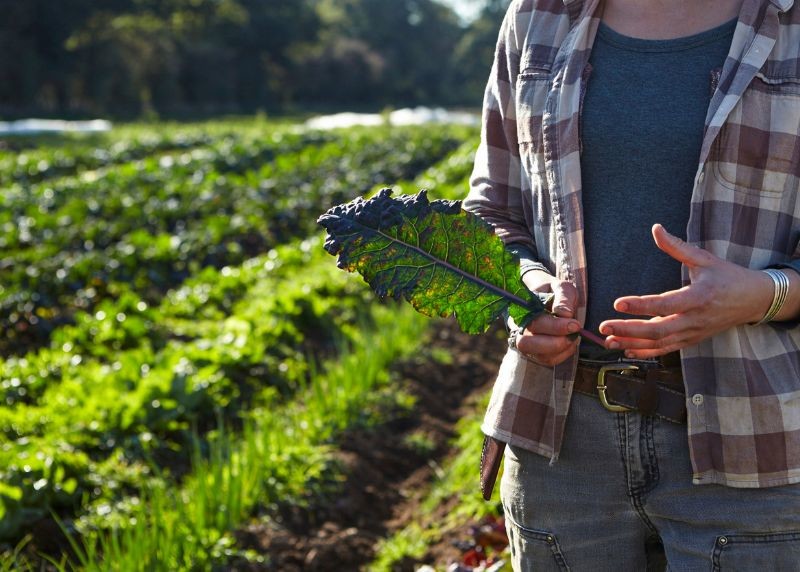 flourish produce